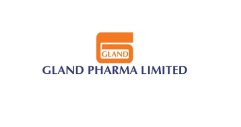 Gland Pharma 2282020